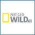 national-geographic-wild-hd