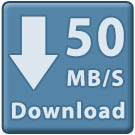 Platinum Plus: Business DSL 50mbps Download