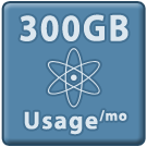 300 GB Monthly Usage